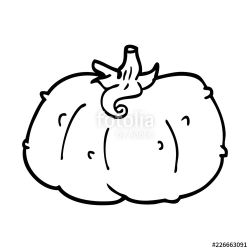 500x500 Line Drawing Cartoon Winter Squash Stock Image And Royalty Free