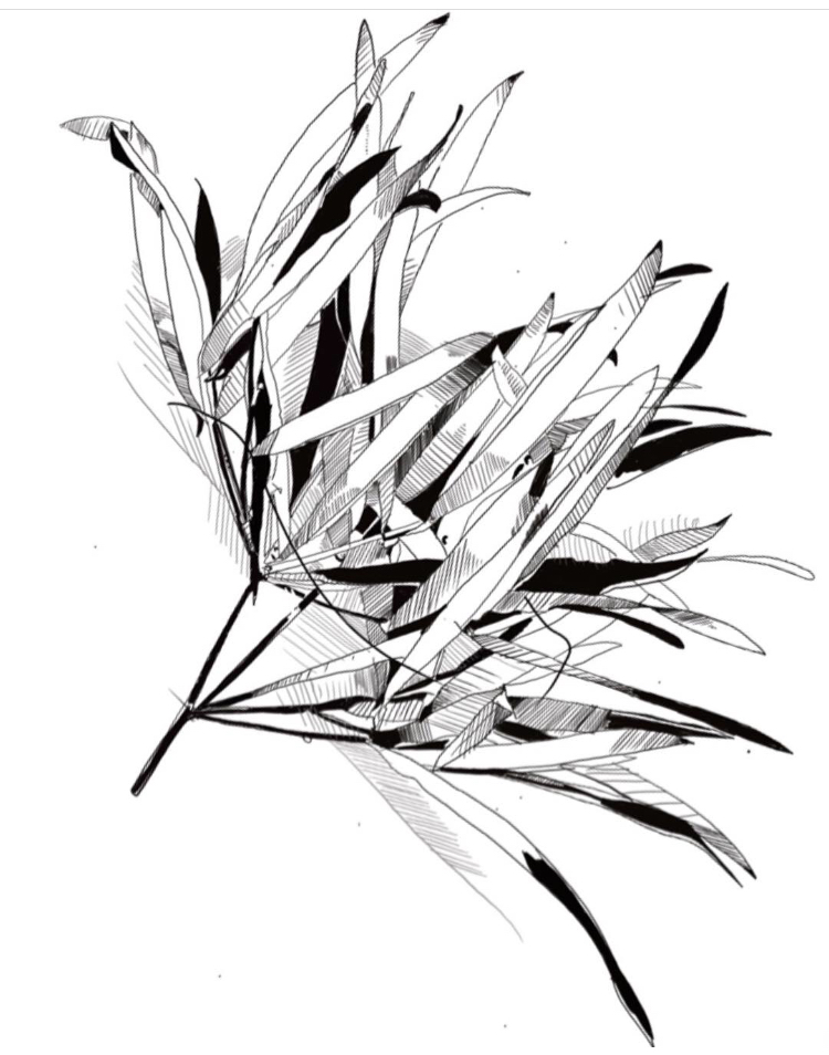 750x954 New Tattoo Drawings