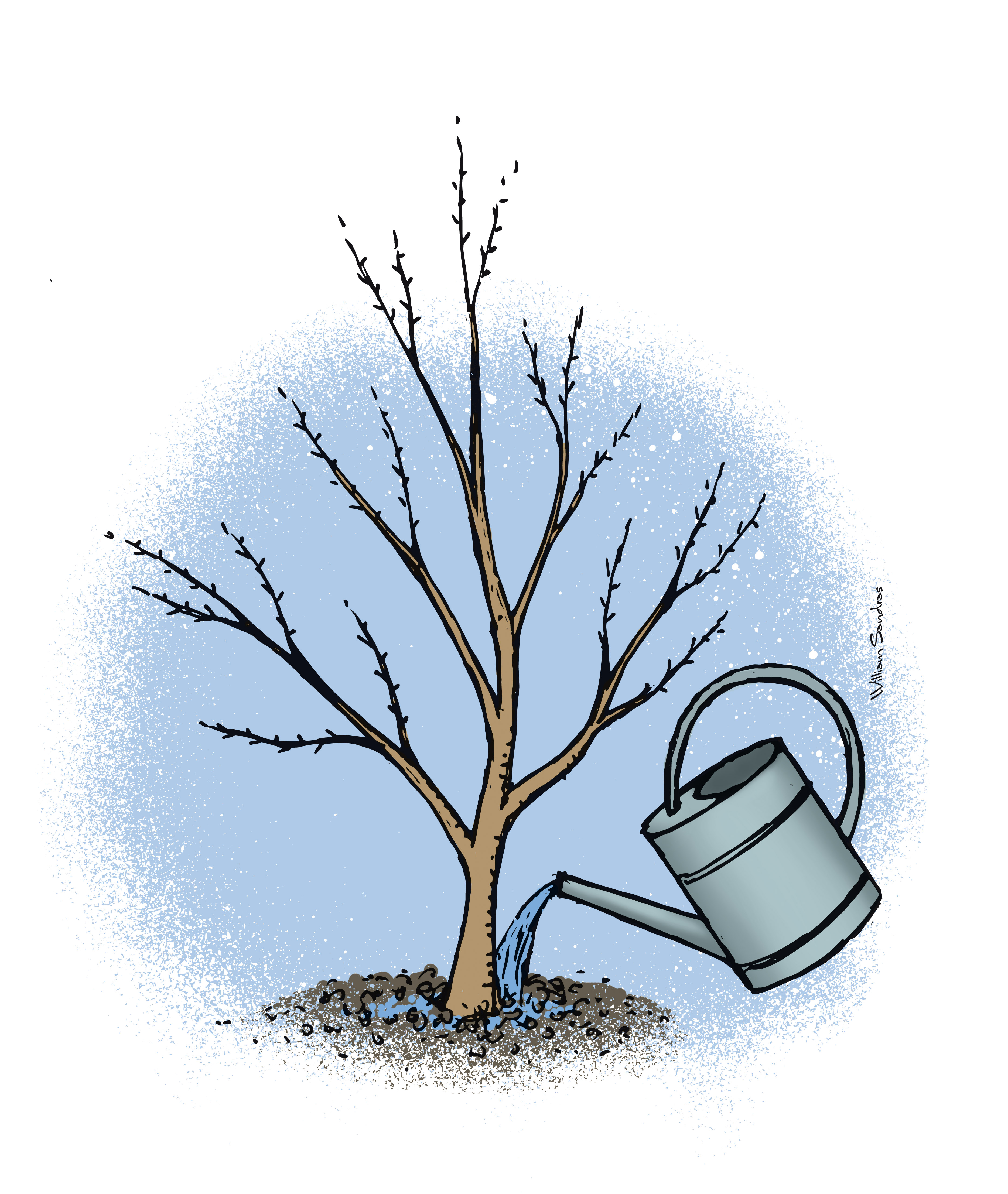 3737x4427 Fileplantation Haie W Sandras