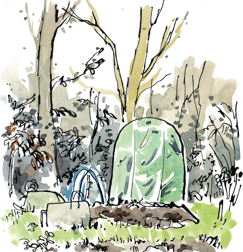 800x829 Michael Gage January