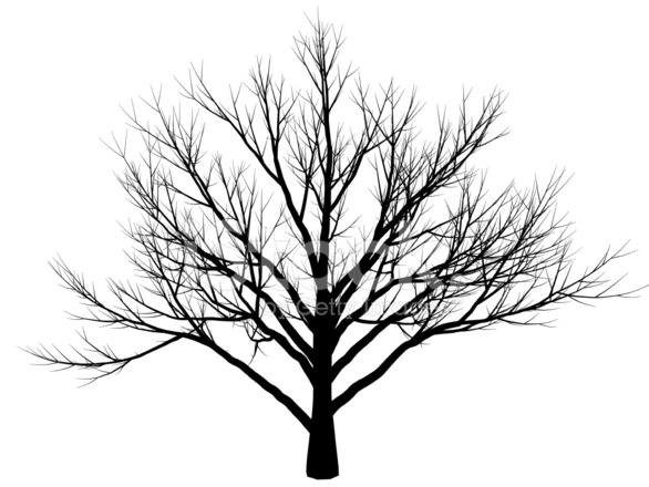 586x440 Winter Tree Stock Vector