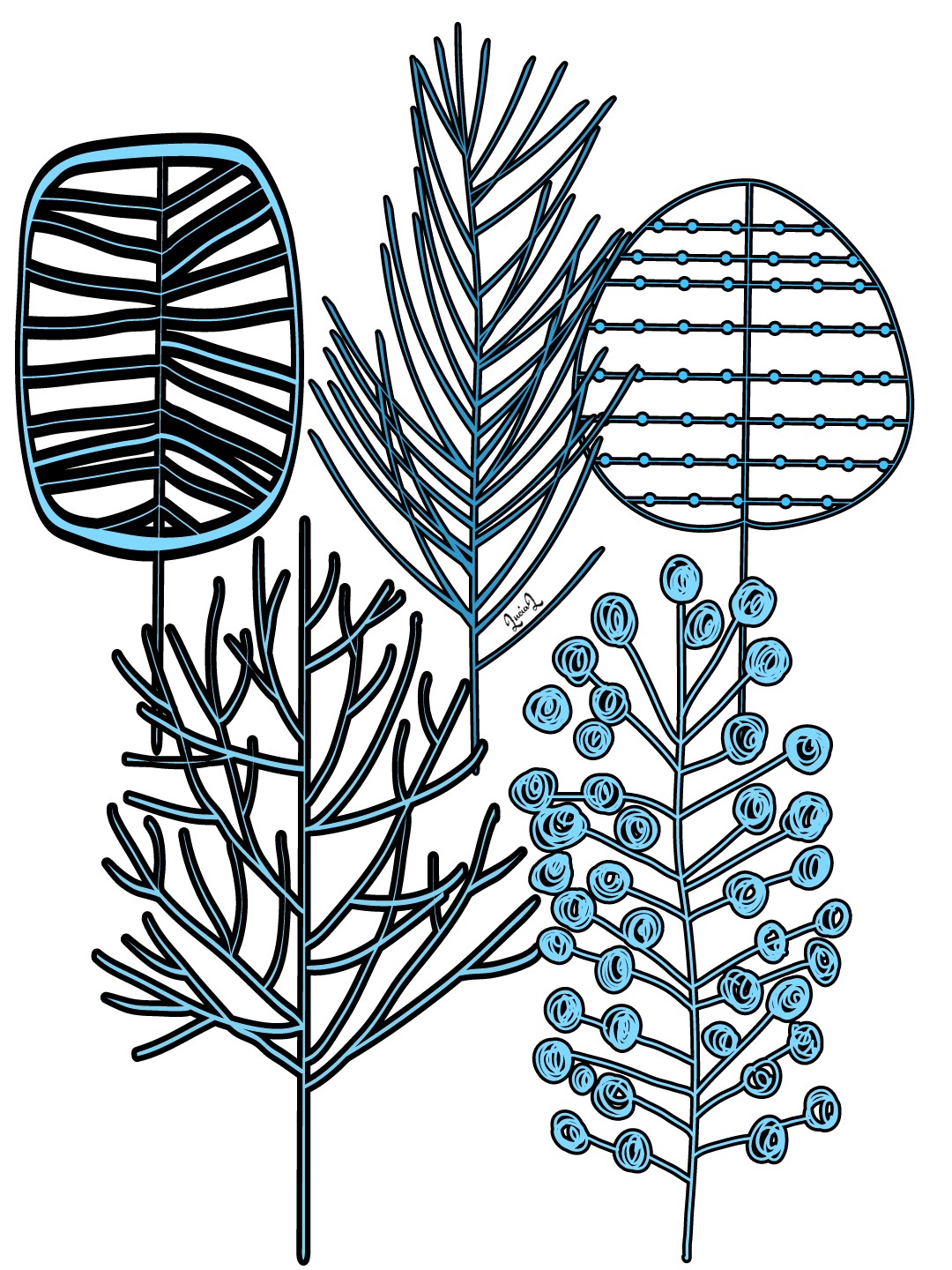 1080x1440 Meadowdreams Landscape Forest Winter Trees Winteriscomi