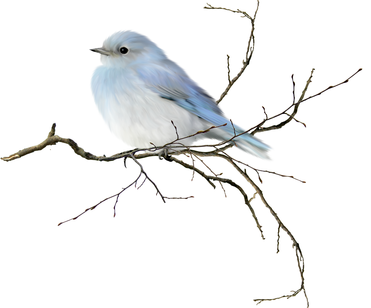 1280x1062 Collection Of Free Chickadee Drawing Winter Landscape Download