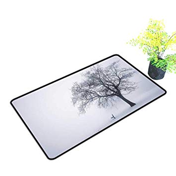 355x355 Gmnalahome Extra Thick Door Mat Dramatic Winter Scene