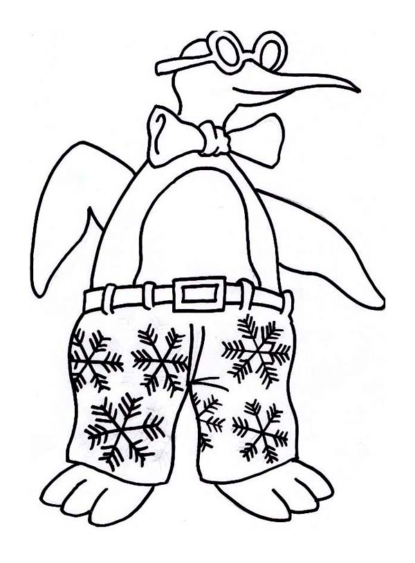 600x814 hilarious penguin with winter season themed trouser for winter