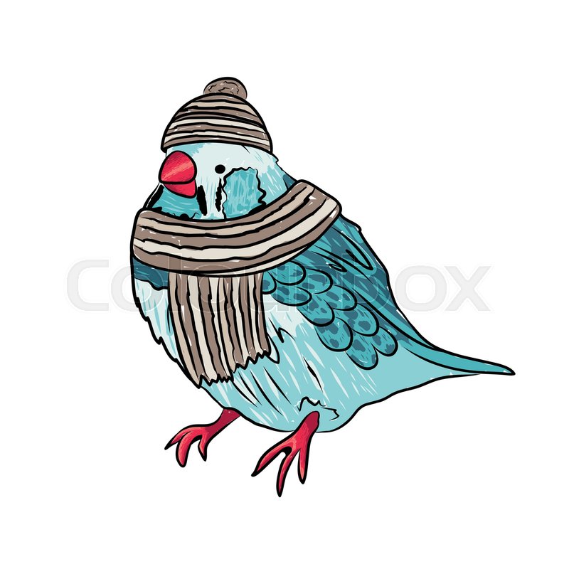 800x800 Vector Cute Bird Warm Dressed In Stock Vector Colourbox