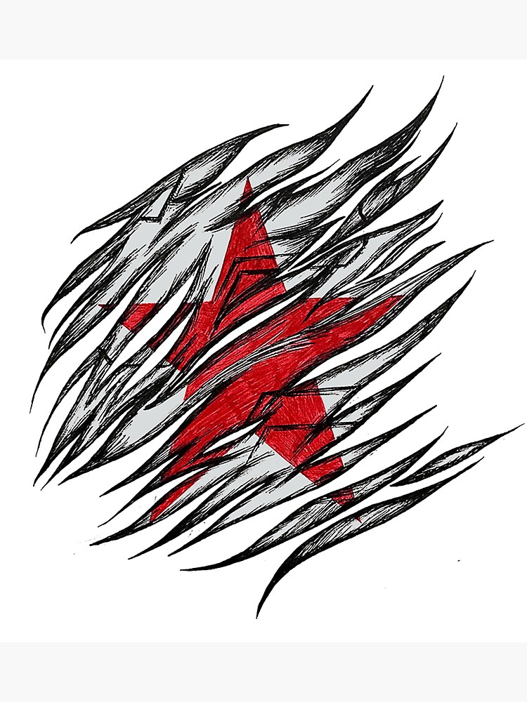 750x1000 The Winter Soldier Photographic Print