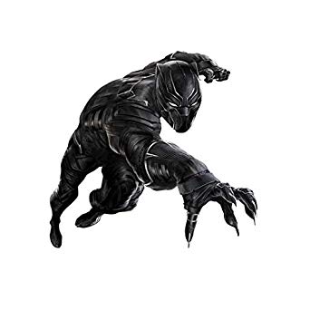 342x342 Chadwick Bosemanlack Panther Inch X Inch Photograph Captain