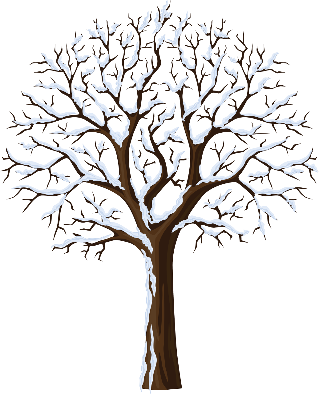1036x1280 Drawing Art Tree Clipart, Winter Trees