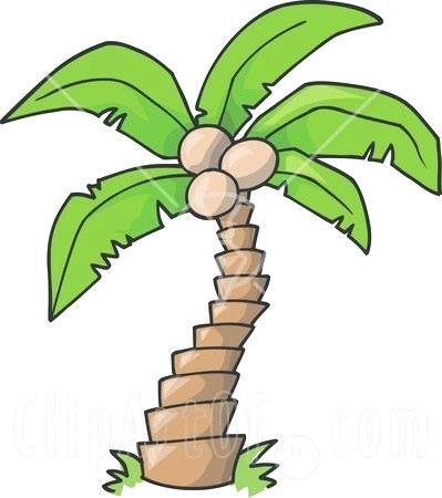 399x450 Simple Palm Tree Drawing