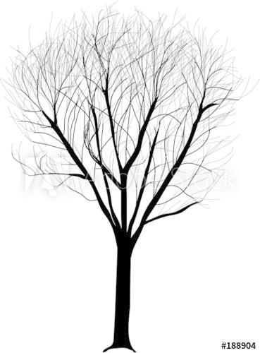 369x500 Winter Tree