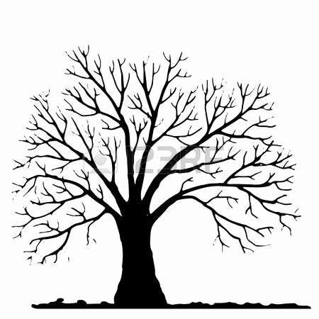 450x450 Clip Art Tree No Leaves Unique Stick Tree Drawing