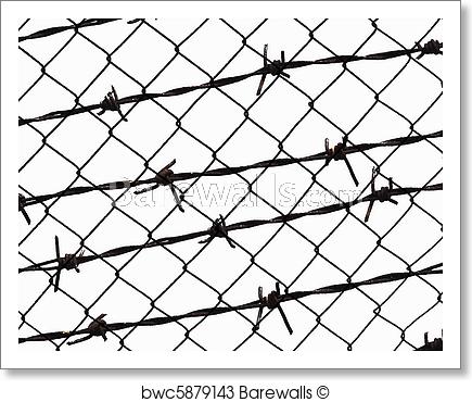 435x370 Art Print Of Barbed Wire Fence Isolated On White Barewalls