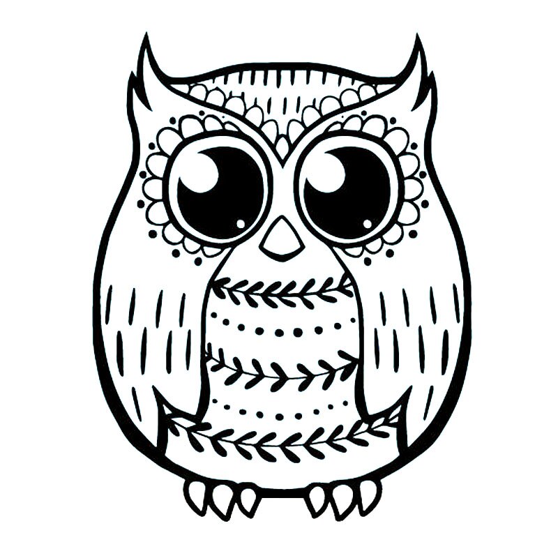 Wise Owl Drawing
