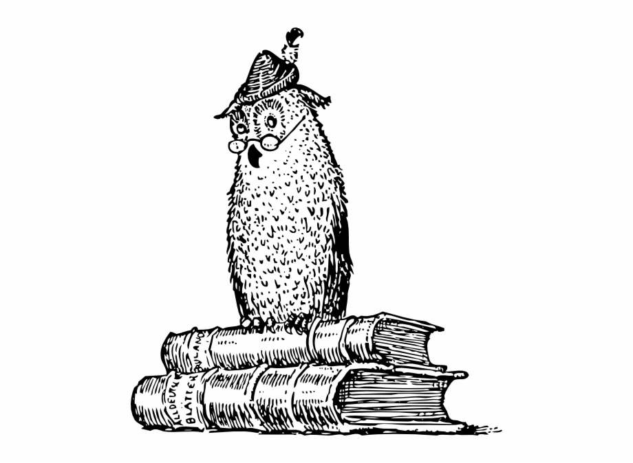 920x674 Original Png Clip Art Wise Owl On Books Images