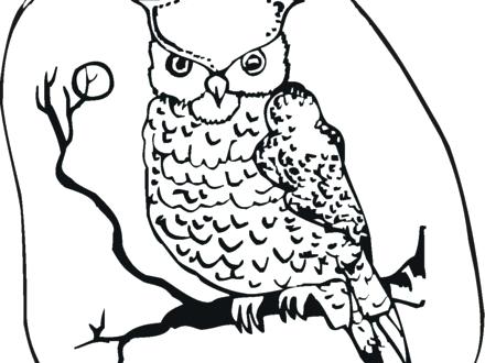 440x330 Smart And Wise Old Owl Coloring Pages For Kids Animals Online