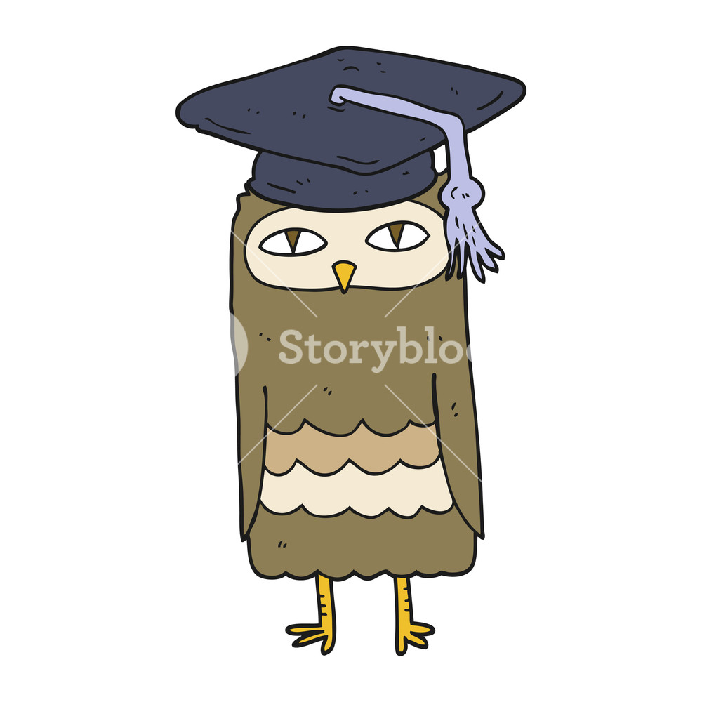 1000x1000 Freehand Drawn Cartoon Wise Owl Royalty Free Stock Image