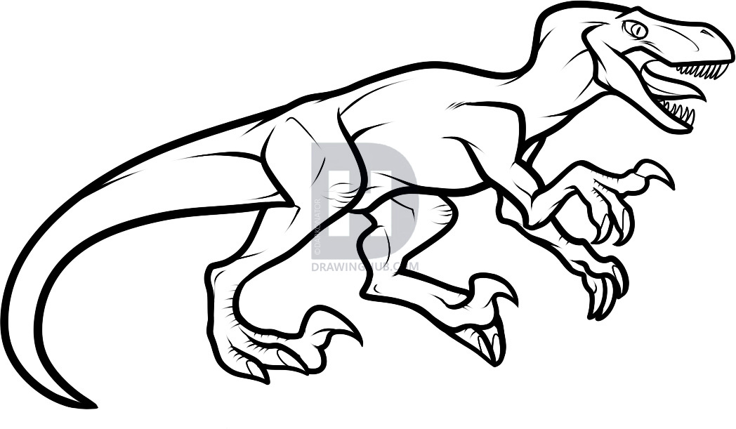 1048x611 How To Draw A Velociraptor Dinosaur, Step