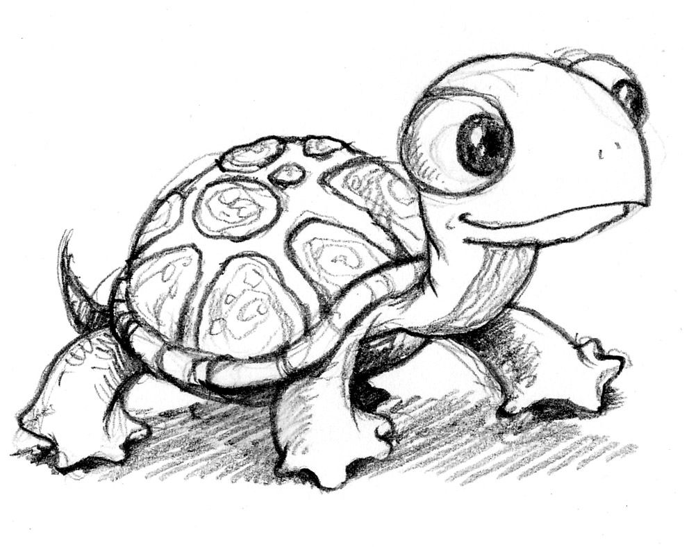 992x788 cute drawing, i wish all turtles looked like this like, i would