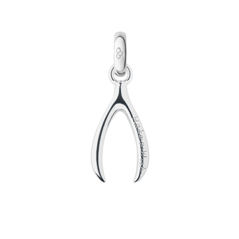 1001x1000 silver wishbone charm