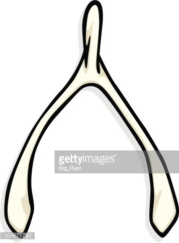 356x482 Wishbone Premium Clipart