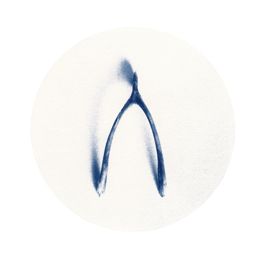 886x851 wishbone holland street