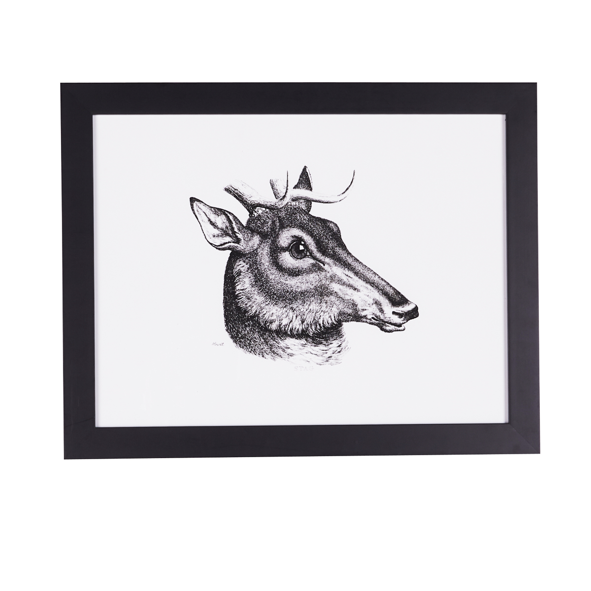 1200x1200 animal wall art fauna prints, paintings, sketches, photography