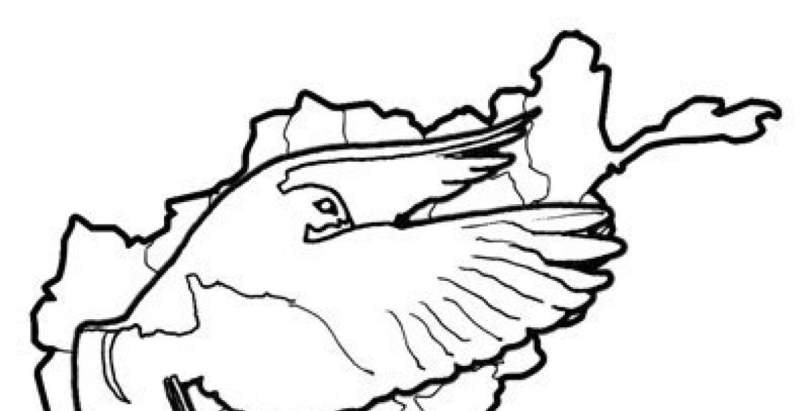 1180x600 My Journey To Afghanistan Eye Witness Report And Launch