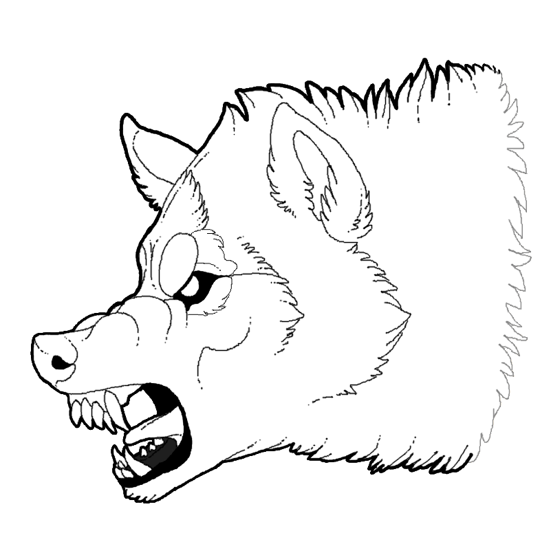 801x804 drawing wolfs growl transparent png clipart free download