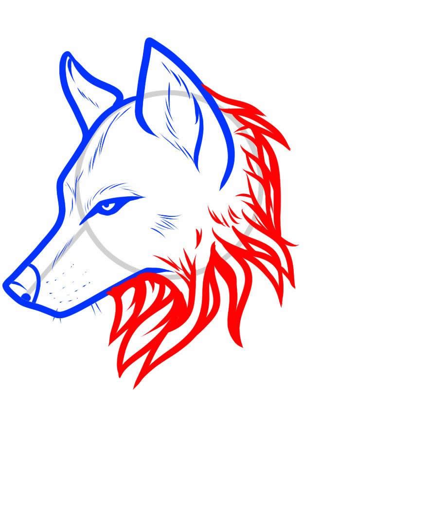878x1065 How To Draw A Wolf