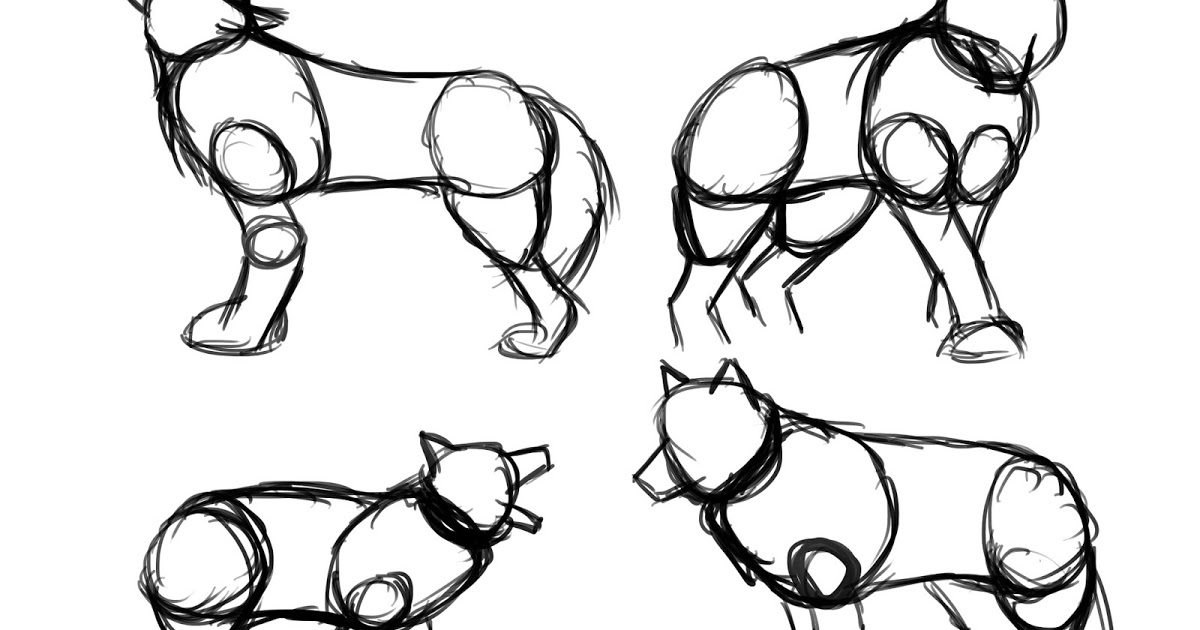 1200x630 Max's Blog Understanding Wolf Anatomy