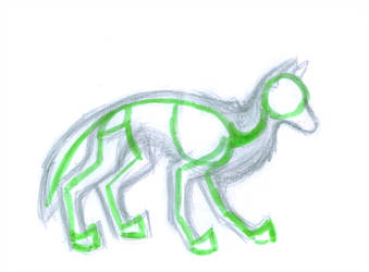 339x250 Wolf Anatomy Favourites