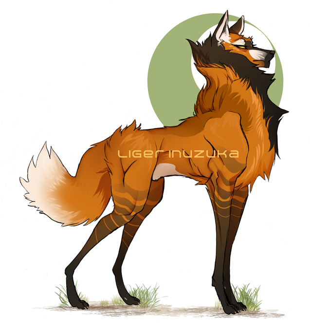 637x676 huge collection of 'maned wolf drawing' download more than