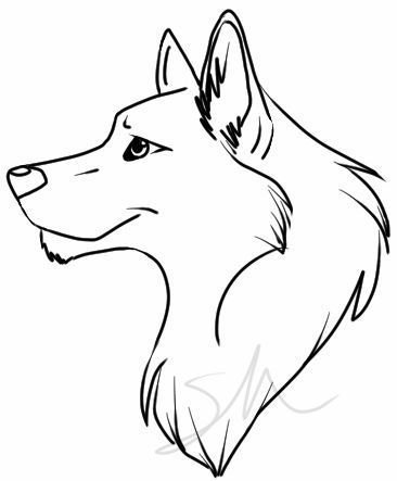 Wolf Basic Drawing