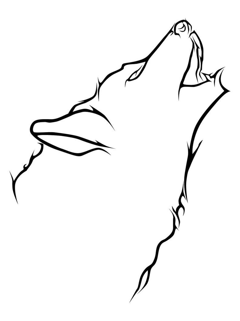 774x1032 Wolf Drawing Basic For Free Download