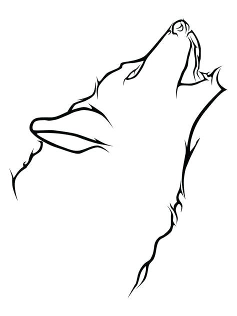474x632 How To Draw A Simple Wolf How To Draw A Simple Wolf Step