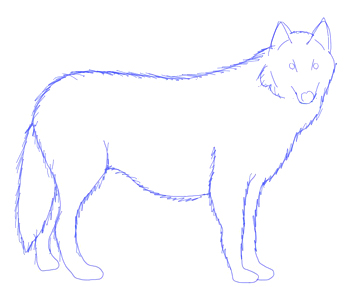 350x287 How To Draw A Wolf