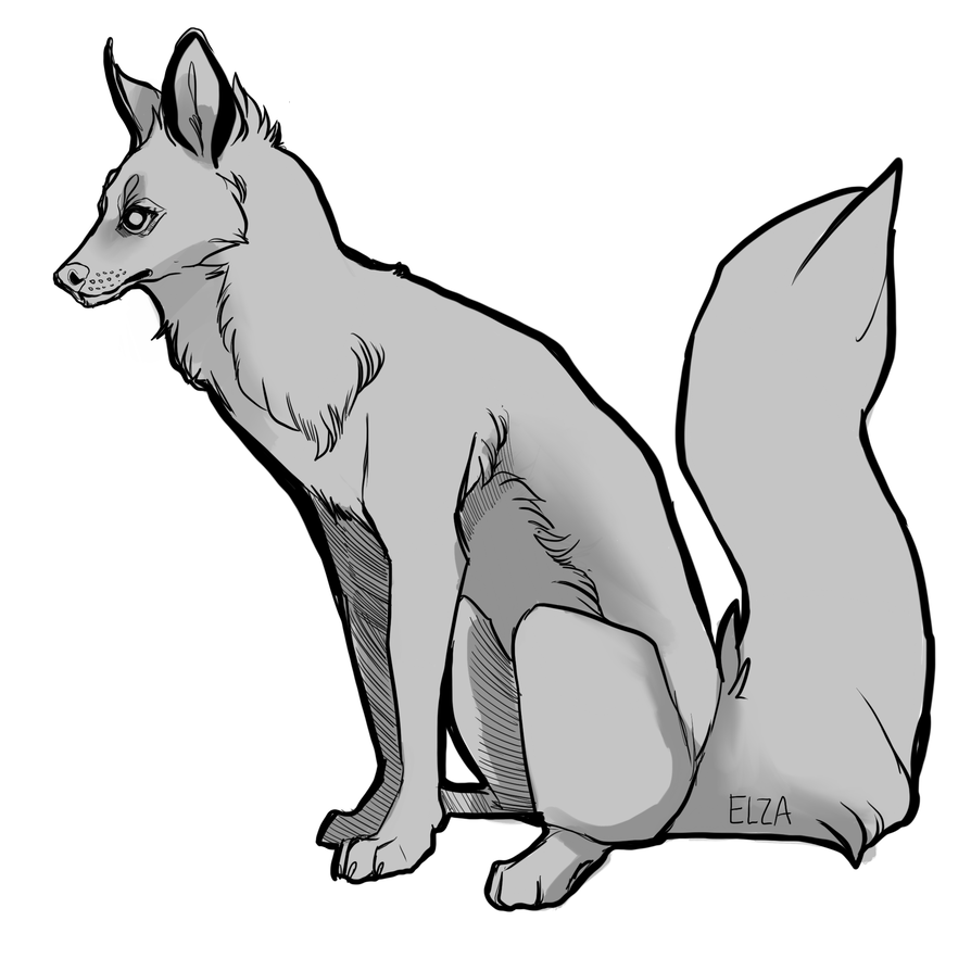 894x894 Transparent Wolf Full Body
