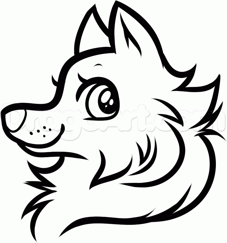 778x833 How To Draw A Cartoon Wolf Head Step Things To Drawpaint