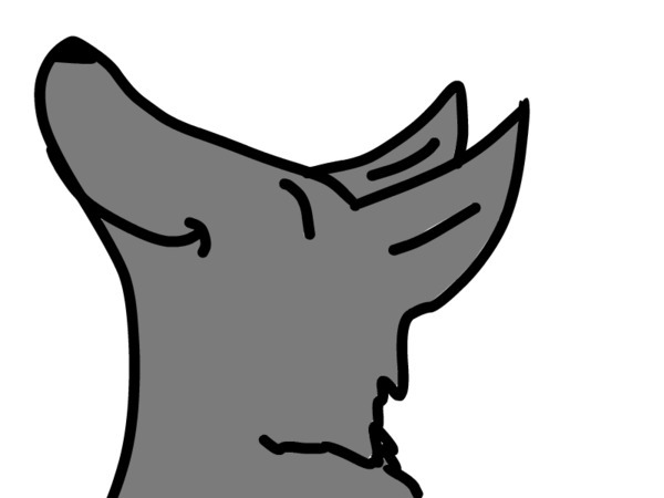 600x450 Gray Wolf Clipart Wolf Cub