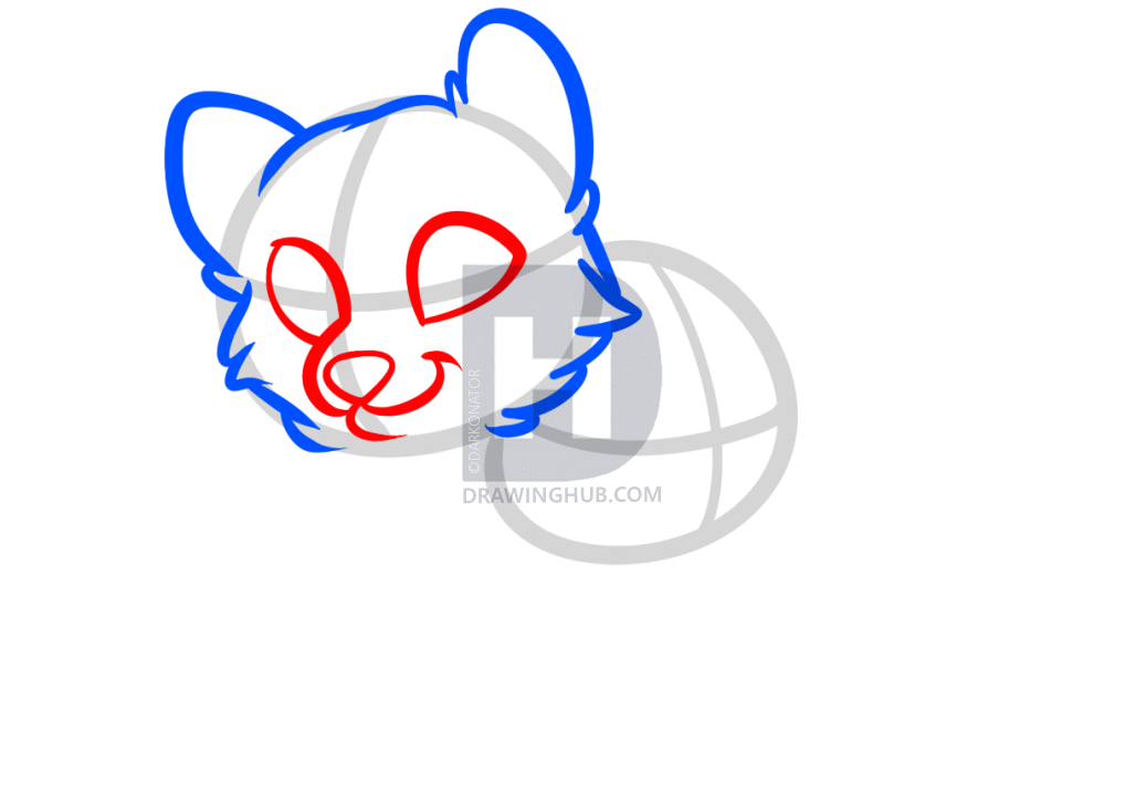1027x720 How To Draw Wolf Puppies, Wolf Cubs, Step