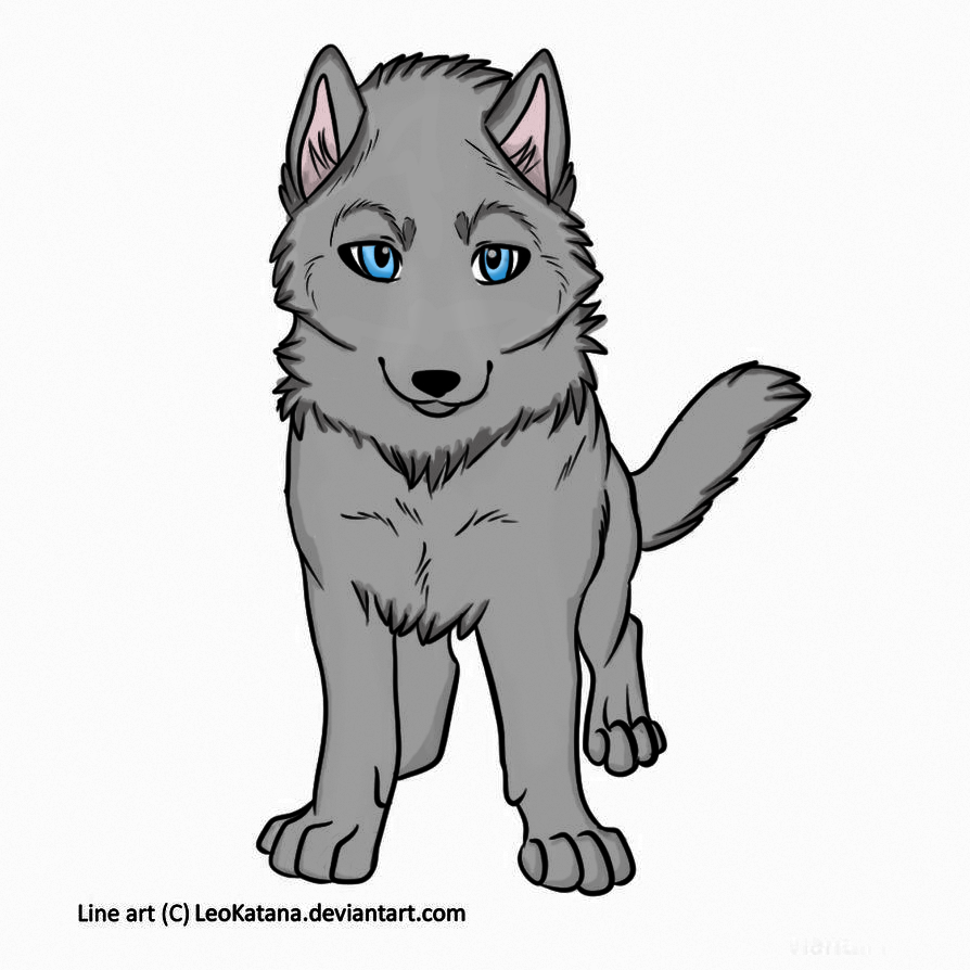 894x894 Wolf Cub Drawing