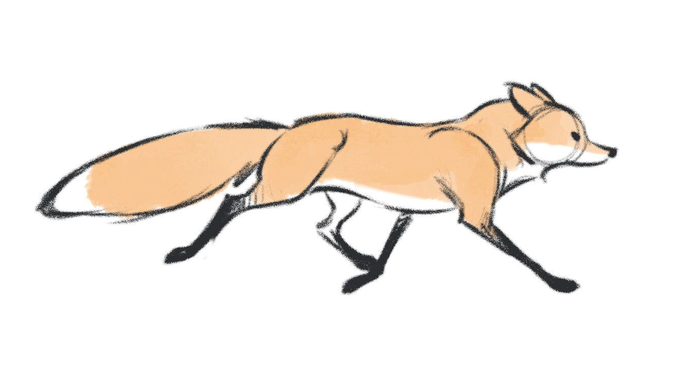 1362x768 How To Draw Wolves, Coyotes And Foxes On Sale!
