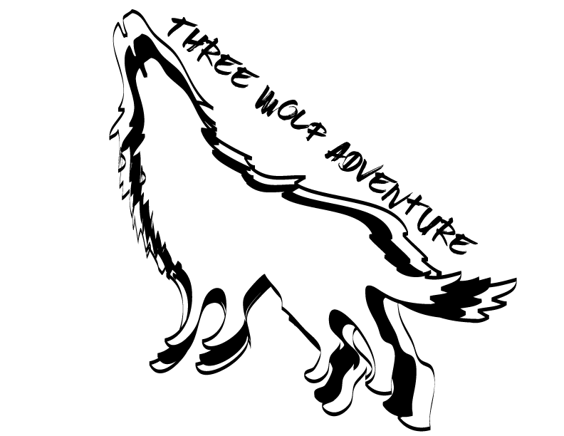 792x612 Postcard Drawing Wolf Transparent Png Clipart Free Download