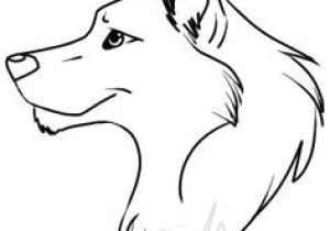 300x210 Wolf Drawing Easy Head Free Wolf Drawings Download Free Clip Art