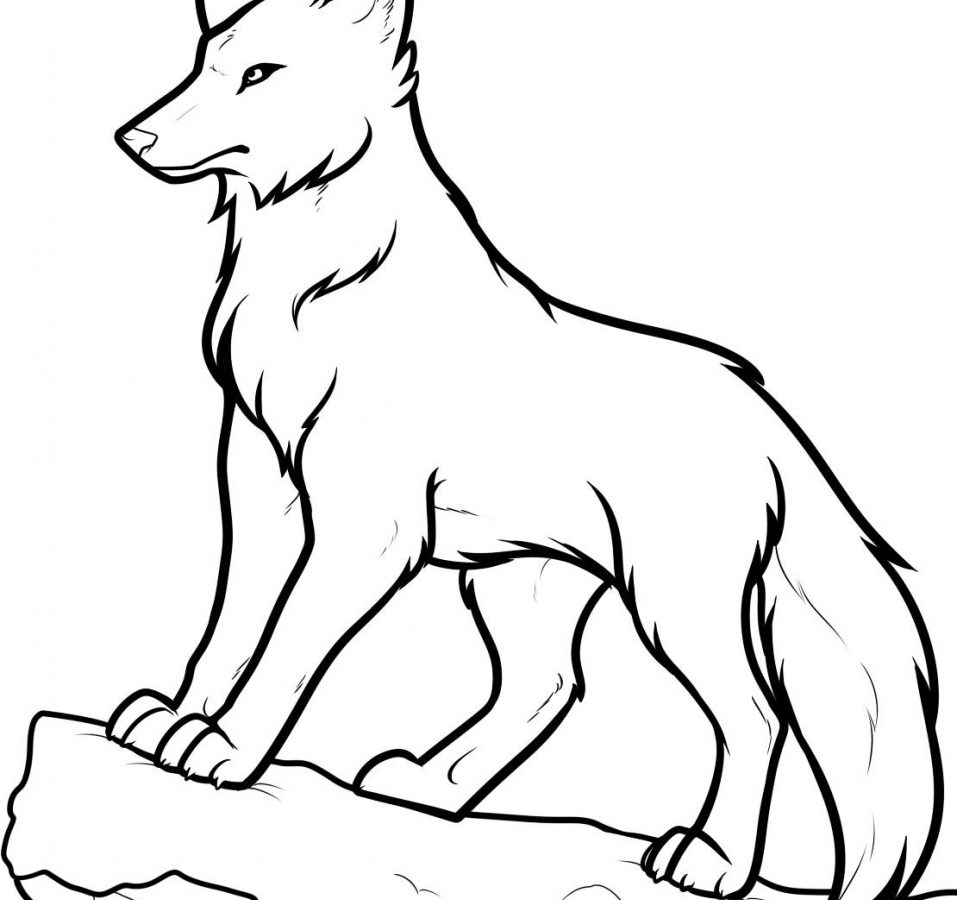 Wolf Drawing | Free download on ClipArtMag