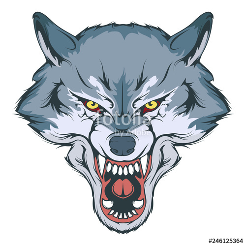500x500 wolf head vector drawing, wolf face drawing sketch, wolf head