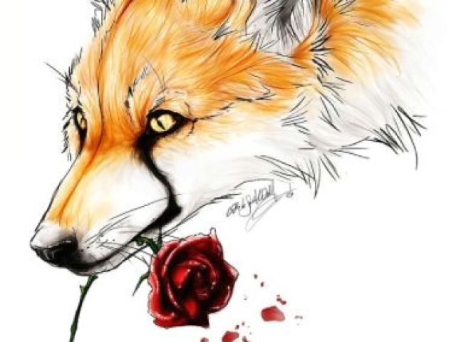 640x480 Fox Fox Art Drawings Fox