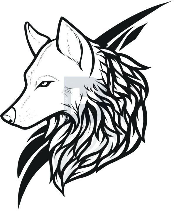 593x720 Wolve Drawings Wolf Drawing Cool Wolf Drawings Easy