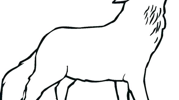 585x329 Coloring Pages Online Games Halloween Witch For Adults Wolf